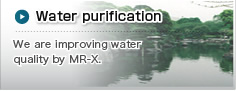 Water purification